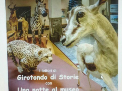 Sabato a Novara “Girotondo di storie” al museo