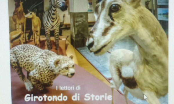 Sabato a Novara “Girotondo di storie” al museo
