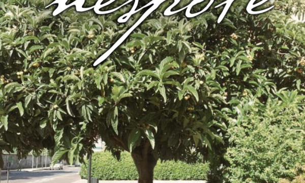 “L’albero di nespole”, il nuovo romanzo di Giulietta Fabbo